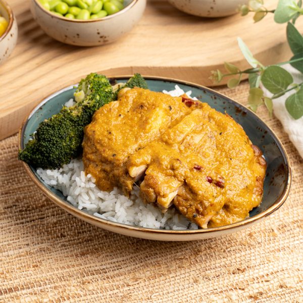 Rendang Chicken 2